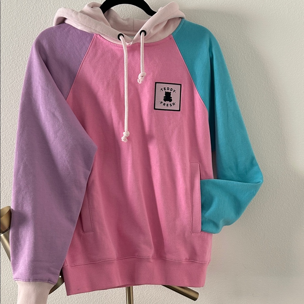 Teddy Fresh Multicolor Hoodie with Logo